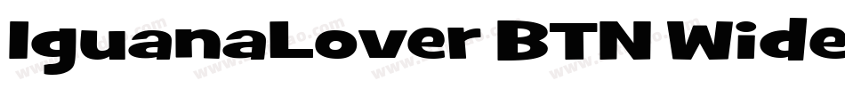 IguanaLover BTN Wide Bd字体转换